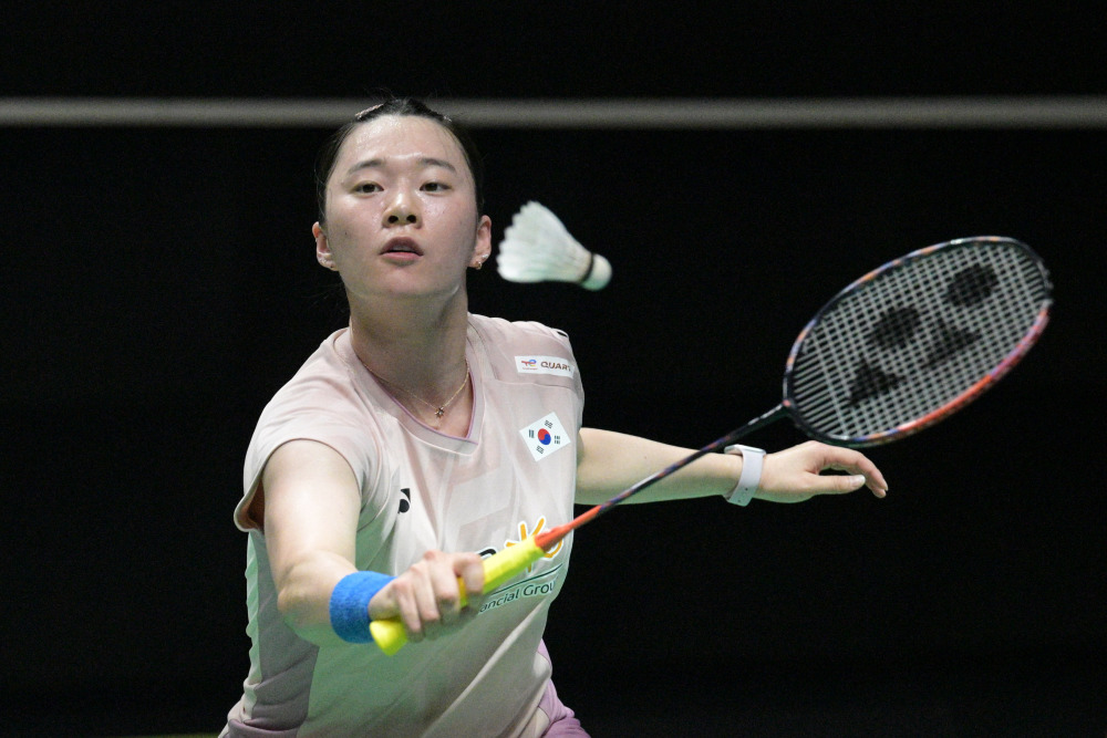 过高比例分 过高比例分