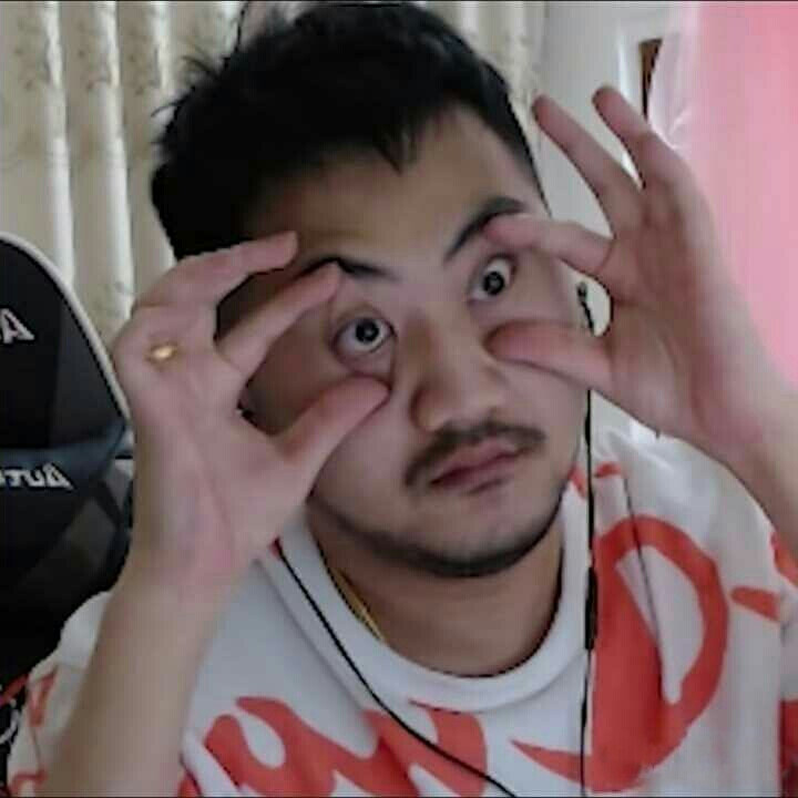 熊的防线 熊的防线